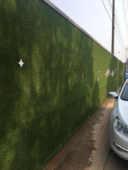 成都足球場人造草坪產品高爾夫球場加密仿真草坪廠家工地圍擋草坪安裝