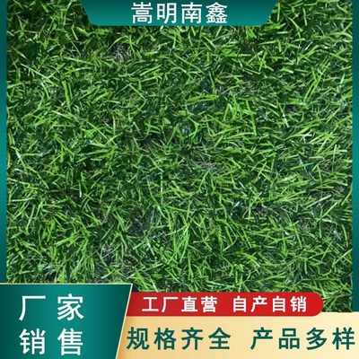 塑料草坪人造草皮戶外裝飾假草屋頂工地小草圍擋