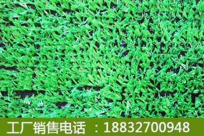 新聞 人造草坪生產工廠 性價比高的 清苑