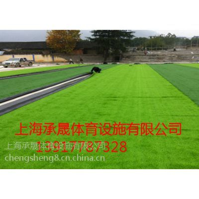 諸暨*人造草坪材料價格