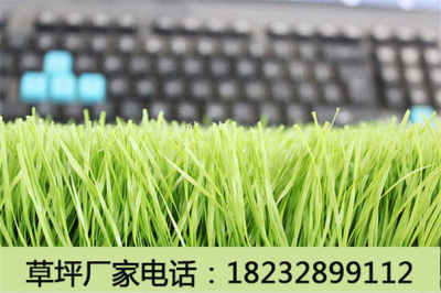 新聞 大同陽高人造草坪的價格值得信賴 廠家