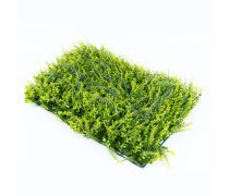 【植物墻(草坪)產品庫】_價格/圖片/廠家_植物墻(草坪)第7頁 - 草坪產品庫