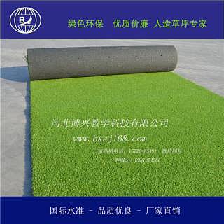 人造草坪價格 人造草坪廠家批發(fā) 