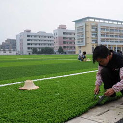 蘭州區(qū)域專業(yè)蘭州塑膠跑道廠家,定西人造草坪