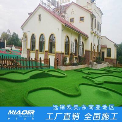 操場用人造草坪仿真人造草坪建設公司