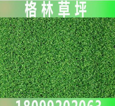 【無錫格林人造草坪廠家推薦 裝飾景觀草坪 G013】價格_廠家_圖片