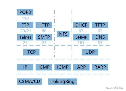 淄博軟件設計師軟考備考指南與行業發展前景分析